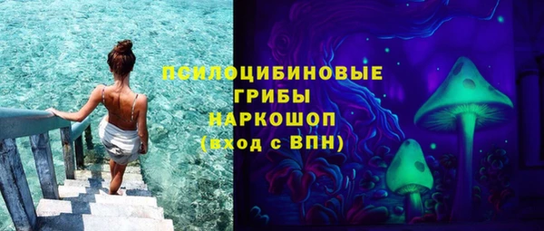 крисы Беломорск