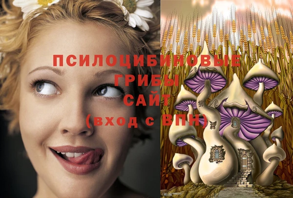 кокс Белокуриха