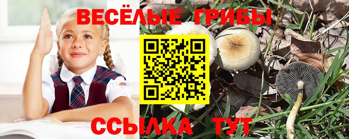 Псилоцибиновые грибы прущие грибы  Вход с VPN  Галлюциногенные грибы Psilocybine cubensis  хочу наркоту  Верхний Уфалей 
