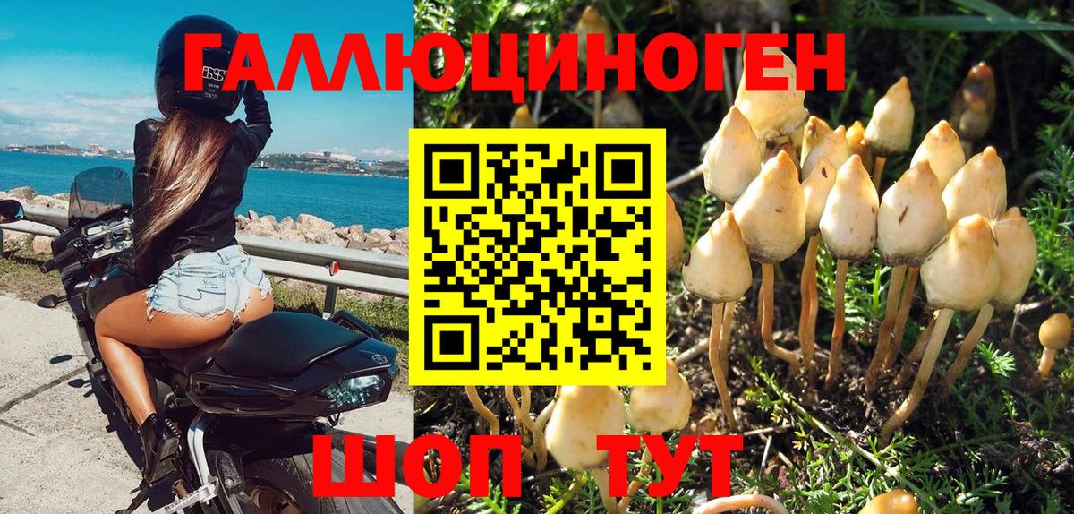 Псилоцибиновые грибы прущие грибы Верхний Уфалей